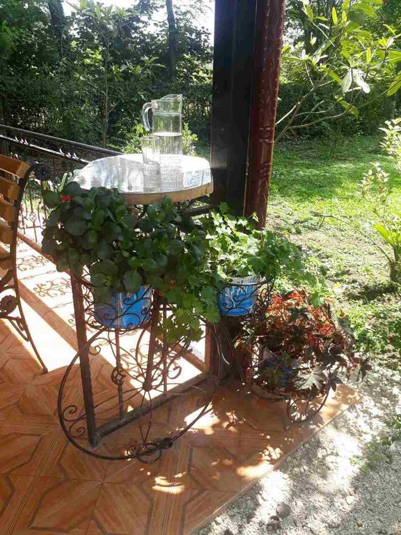 Guest House Danelia Martvili Kültér fotó